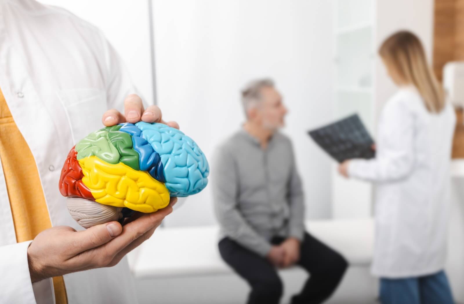 A doctor holds up a multi-colored model of a brain as a doctor gives a senior an Alzheimer’s diagnosis